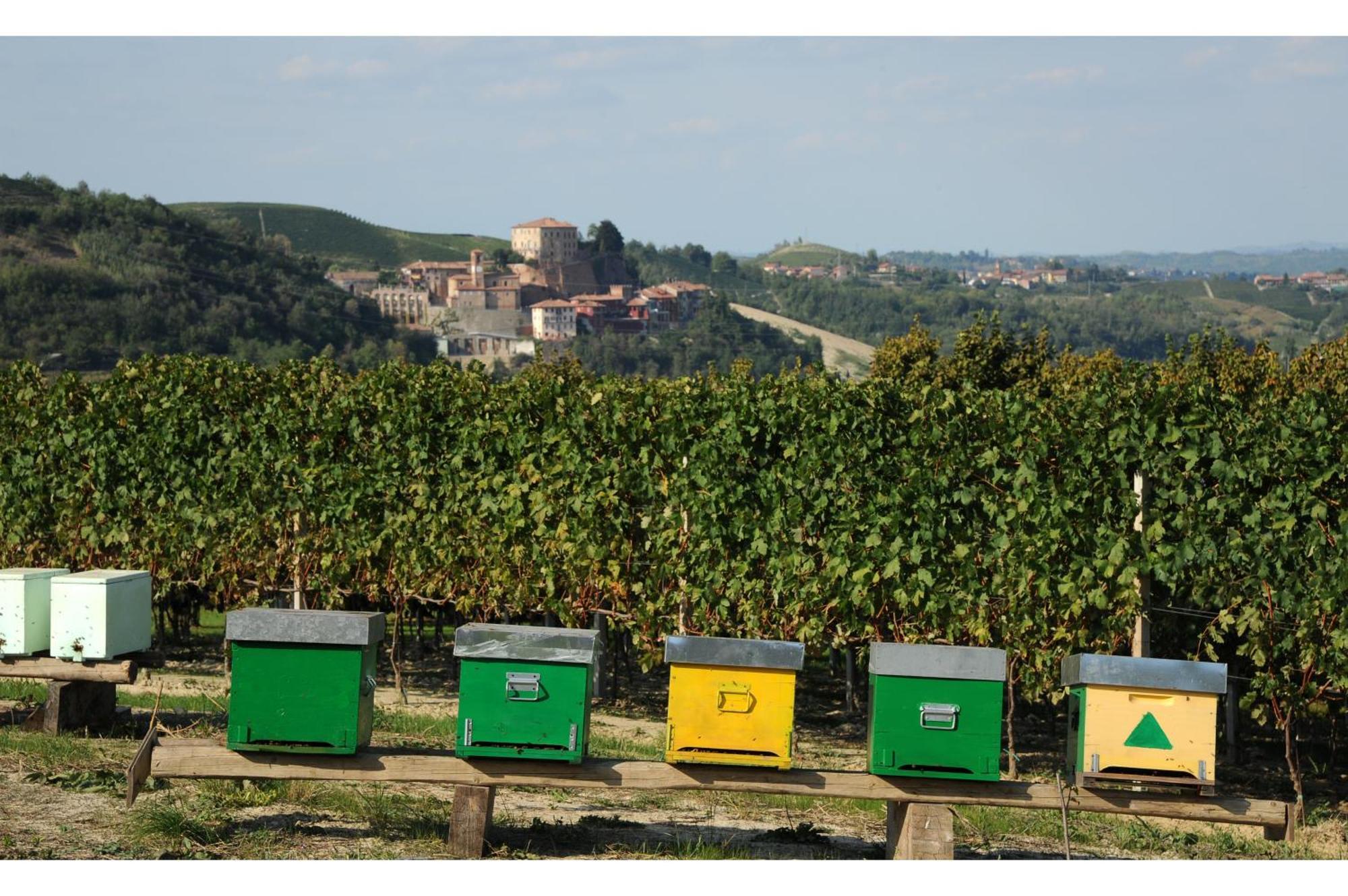 Bed & Breakfast Vecchio